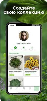 Скриншот приложения PlantSnap Определение Растени‪й - №6