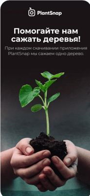 Скриншот приложения PlantSnap Определение Растени‪й - №7
