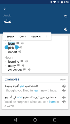 Скриншот приложения Arabic English Dictionary - №2