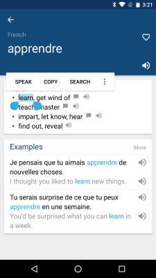 Скриншот приложения French English Dictionary - №2