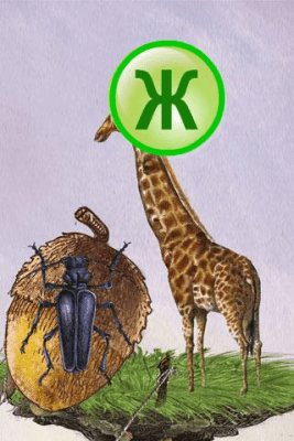 Скриншот приложения Азбука Букварь Детям Бесплатно - №3