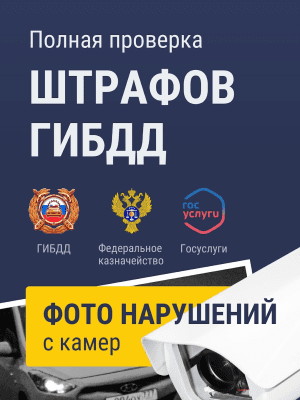 Скриншот приложения Штрафы ГИБДД официальные: проверка, оплата штрафов - №9