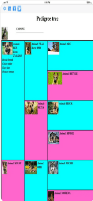 Скриншот приложения Родословная животного (iOS) - №4