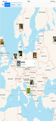 Скриншот приложения Родословная животного (iOS) - №5