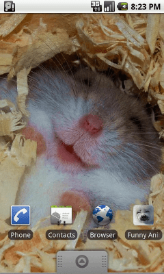 Скриншот приложения Funny Animals Wallpapers #1 - №3