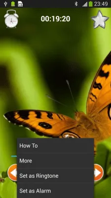 Скриншот приложения Звуки Природы: расслабление - №4