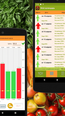 Скриншот приложения Калькулятор калорий для похудения - Lite - №3