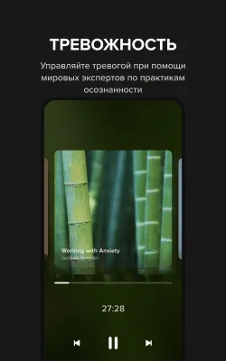 Скриншот приложения Insight Timer - Медитация - №5