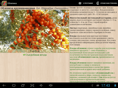 Скриншот приложения Ягоды. Справочник - №3