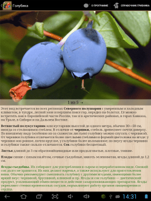 Скриншот приложения Ягоды. Справочник - №5