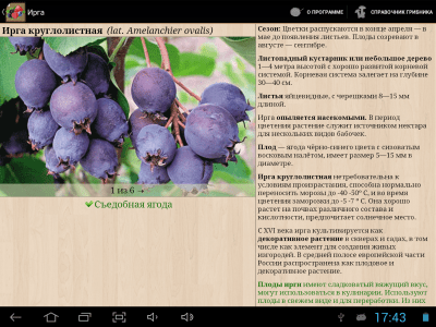 Скриншот приложения Ягоды. Справочник - №7
