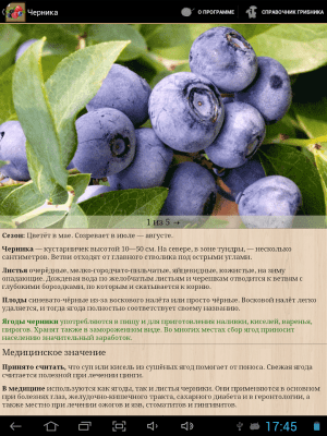 Скриншот приложения Ягоды. Справочник - №8