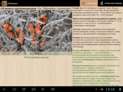 Скриншот приложения Ягоды. Справочник - №9