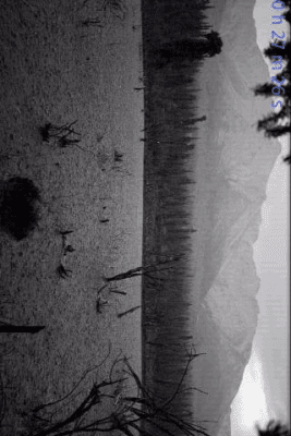 Скриншот приложения Rain Sounds for Sleep - №4