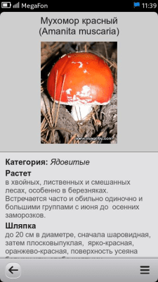 Скриншот приложения Энциклопедия грибов и ягод - №3