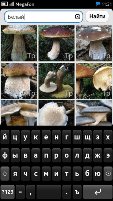 Скриншот приложения Энциклопедия грибов и ягод - №6