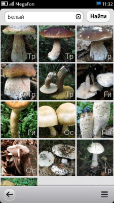 Скриншот приложения Энциклопедия грибов и ягод - №7