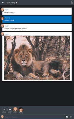 Скриншот приложения Хистори - Чат истории без интернета, переписки и страшилки - №11