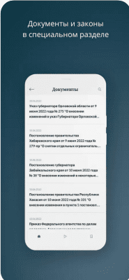 Скриншот приложения Российская Газета - №2