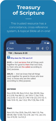 Скриншот приложения Blue Letter Bible для iOS - №3