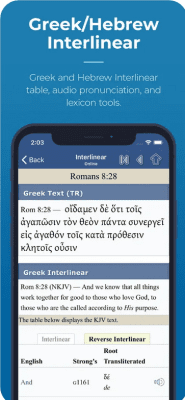Скриншот приложения Blue Letter Bible для iOS - №4