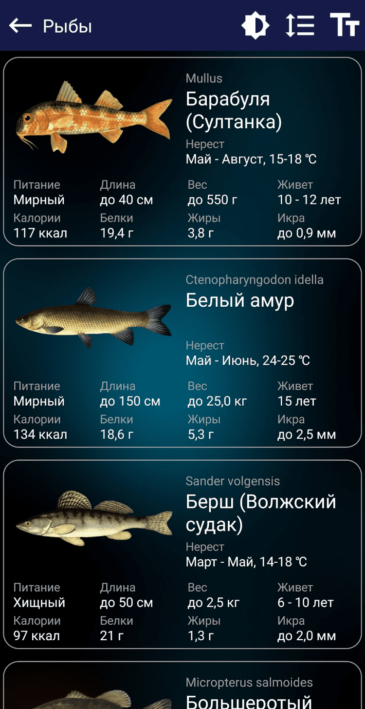 Приложение прогноз клёва рыбы на андроид. Приложение прогноз клева