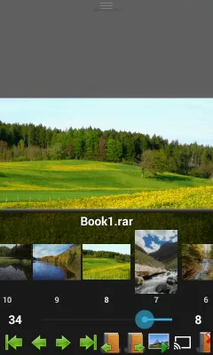 Скриншот приложения Perfect Viewer - №3