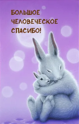 Скриншот приложения Открытки на все случаи жизни - №4