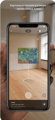 Скриншот приложения Google Arts & Culture - №6