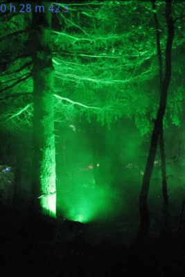 Скриншот приложения Forest Sounds to Relax - №3