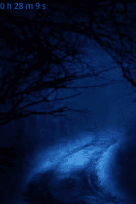 Скриншот приложения Forest Sounds to Relax - №4