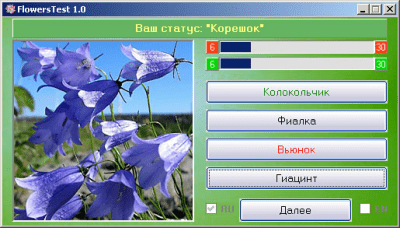 Скриншот приложения FlowersTest - №2