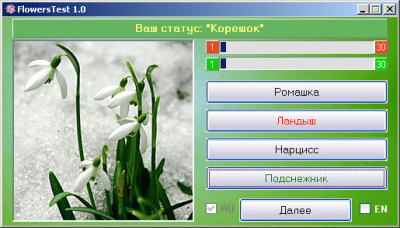 Скриншот приложения FlowersTest - №3