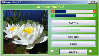 Скриншот приложения FlowersTest - №4