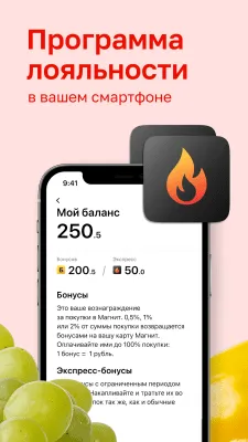 Скриншот приложения Магнит - №4