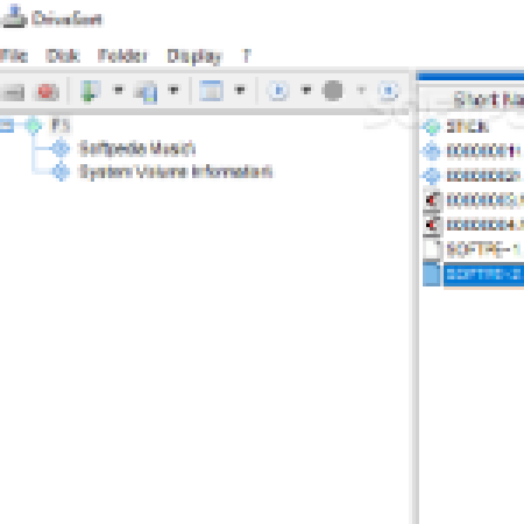 DriveSort скачать на Windows бесплатно