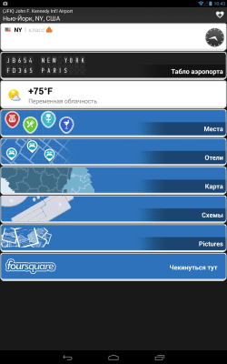 Скриншот приложения Онлайн Табло и Статусы Рейсов - №9