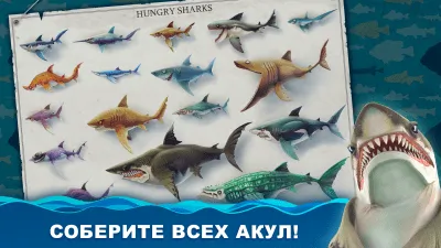 Скриншот приложения Hungry Shark World - №2