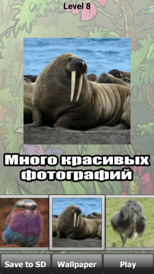 Скриншот приложения Дикие животные головоломки - №5