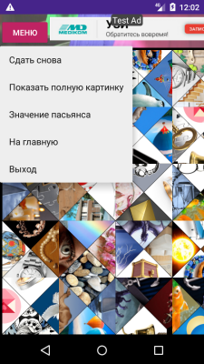 Скриншот приложения Индийский пасьянс-гадание - №3