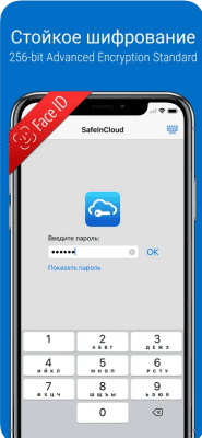 Скриншот приложения Менеджер Паролей SafeInCloud - №1