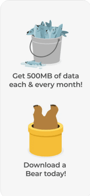 Скриншот приложения TunnelBear VPN & Wifi Proxy - №4