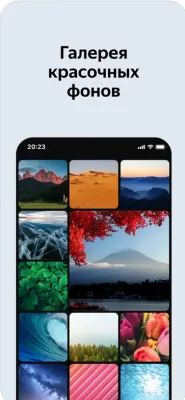 Скриншот приложения Яндекс Браузер для iPhone - №5
