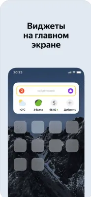 Скриншот приложения Яндекс Браузер для iPhone - №6