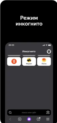 Скриншот приложения Яндекс Браузер для iPhone - №8