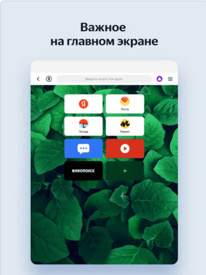 Скриншот приложения Яндекс Браузер для iPad - №1