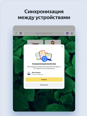 Скриншот приложения Яндекс Браузер для iPad - №4