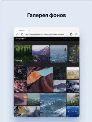 Скриншот приложения Яндекс Браузер для iPad - №6