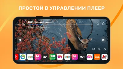 Скриншот приложения Лайт HD ТВ - №3