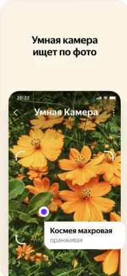 Скриншот приложения Яндекс — с Алисой - №3